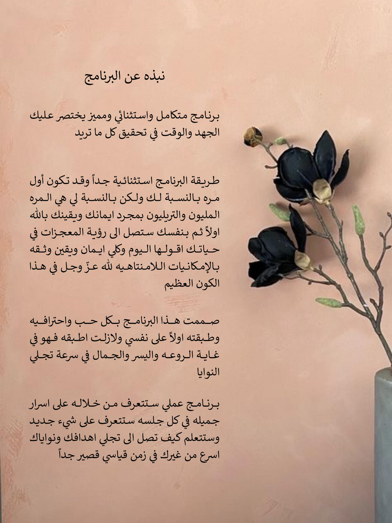 نبذة عن البرنامج